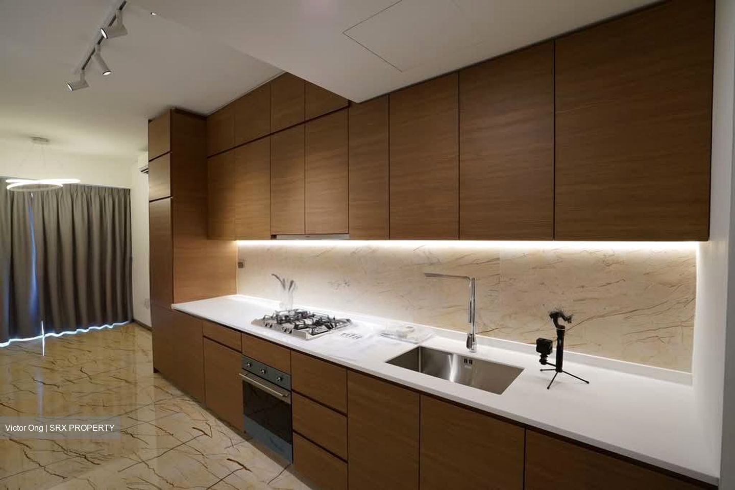 Queens Peak (D3), Condominium #565777051